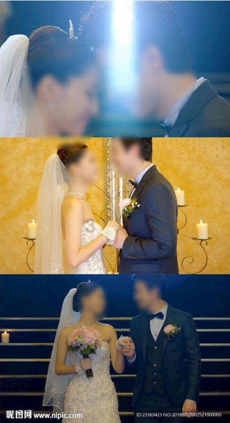 红色鹦鹉逃脱