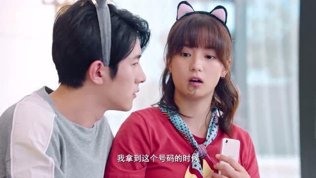 栀子落星海