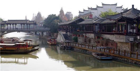 拯救蓝色小鸟